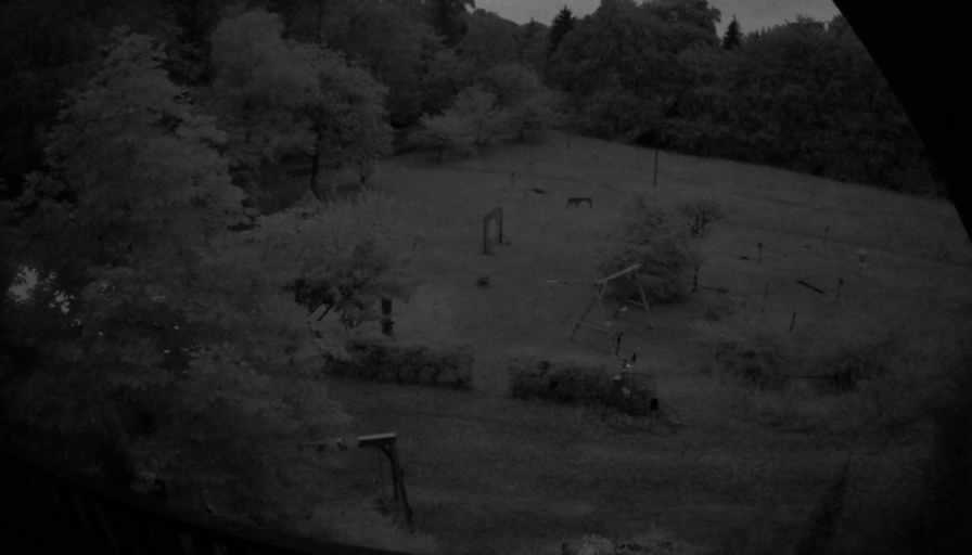 Lauschhütte Webcam